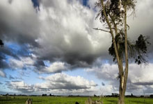 越野车都在套家用模板？福特智趣烈马能杀出来吗