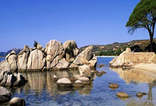 越野车都在套家用模板？福特智趣烈马能杀出来吗